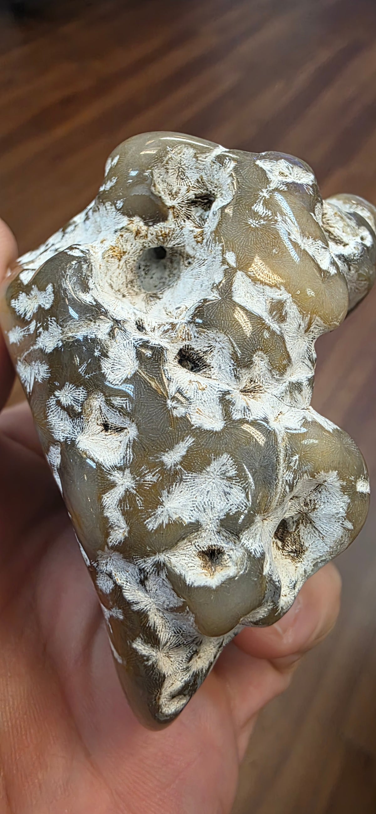 Agate Coral