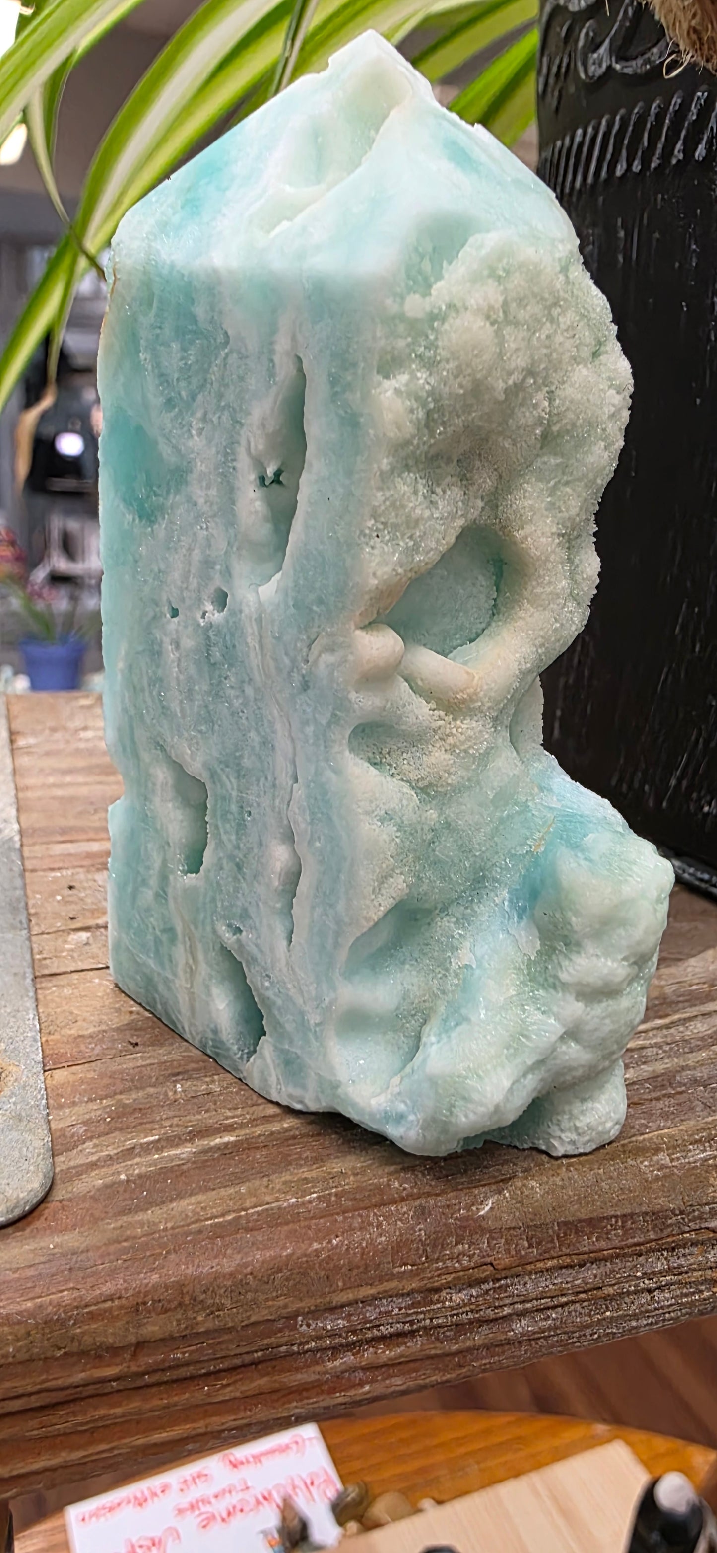 Caribbean Blue Aragonite
