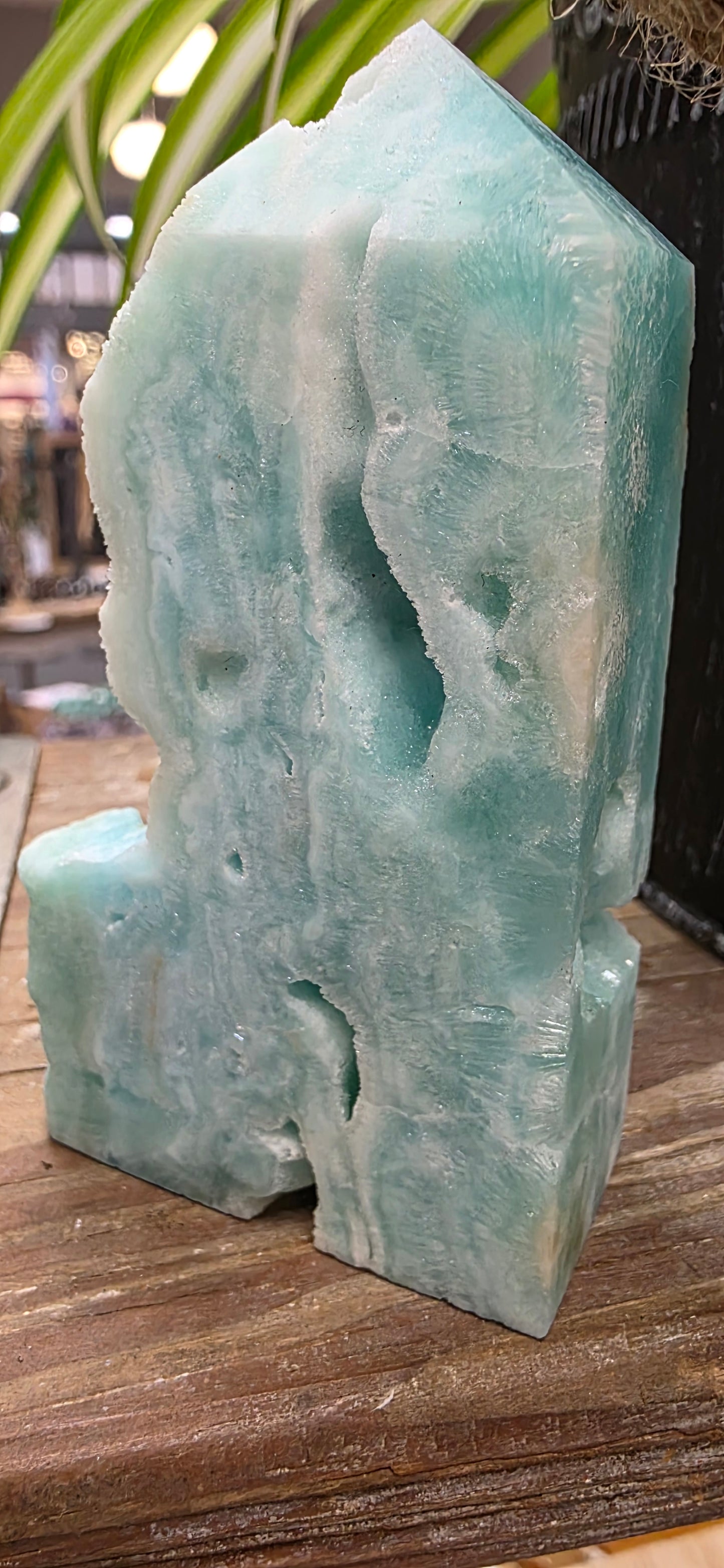 Caribbean Blue Aragonite
