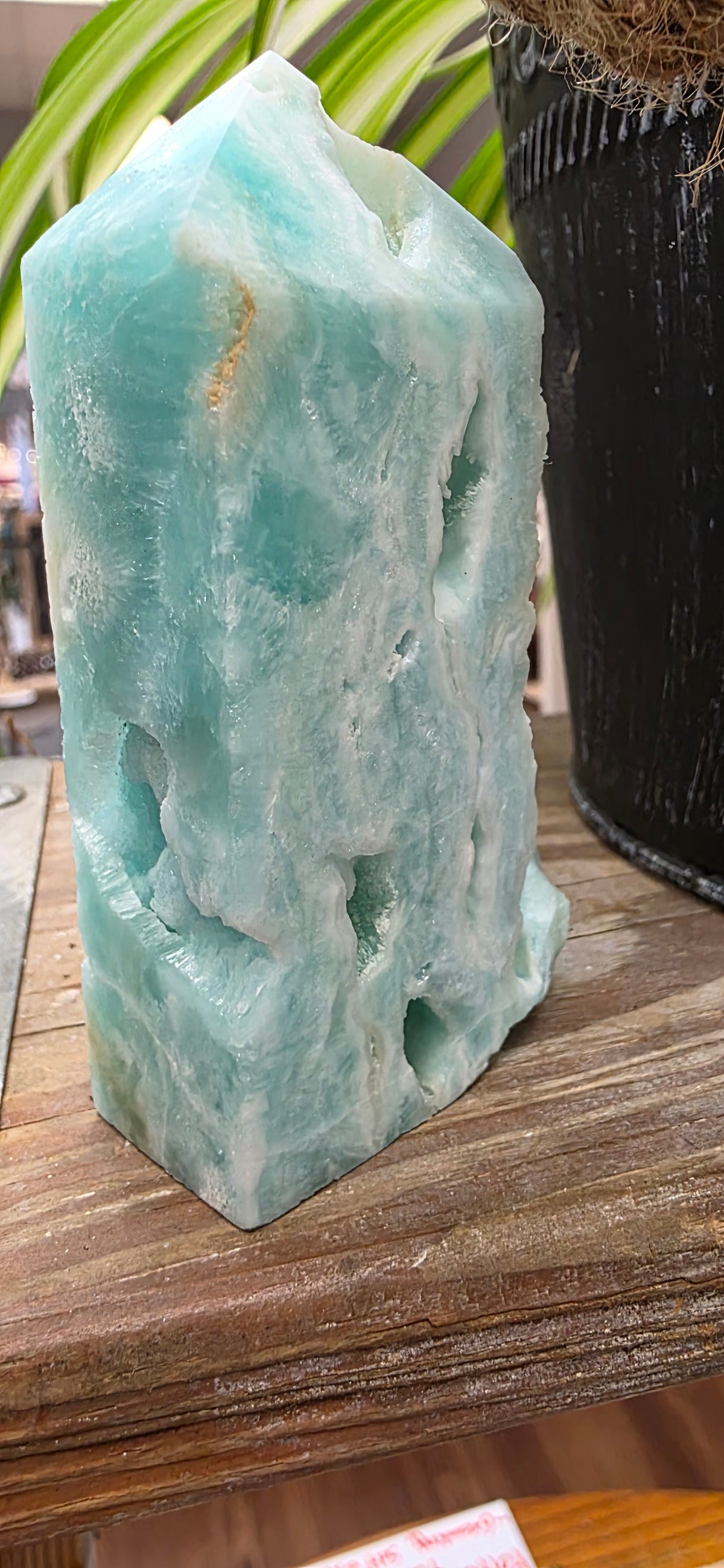 Caribbean Blue Aragonite