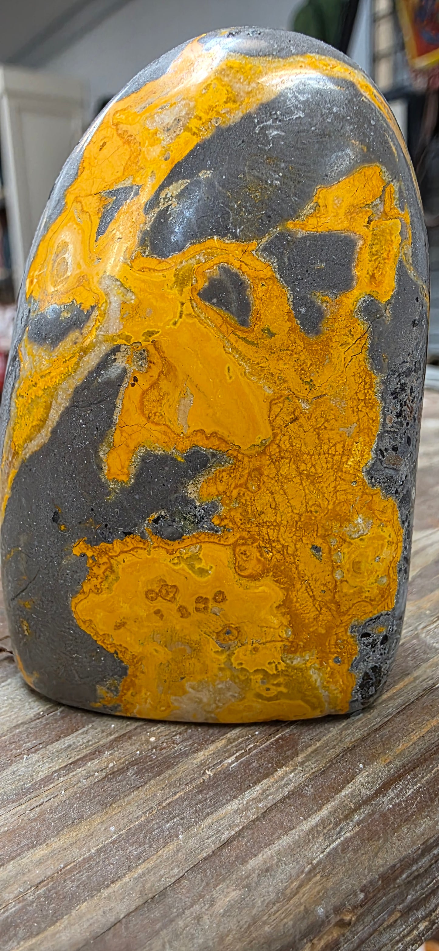 Bumblebee Jasper