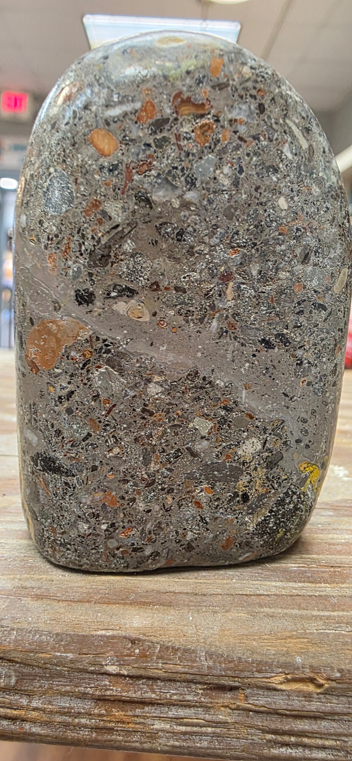Bumblebee Jasper