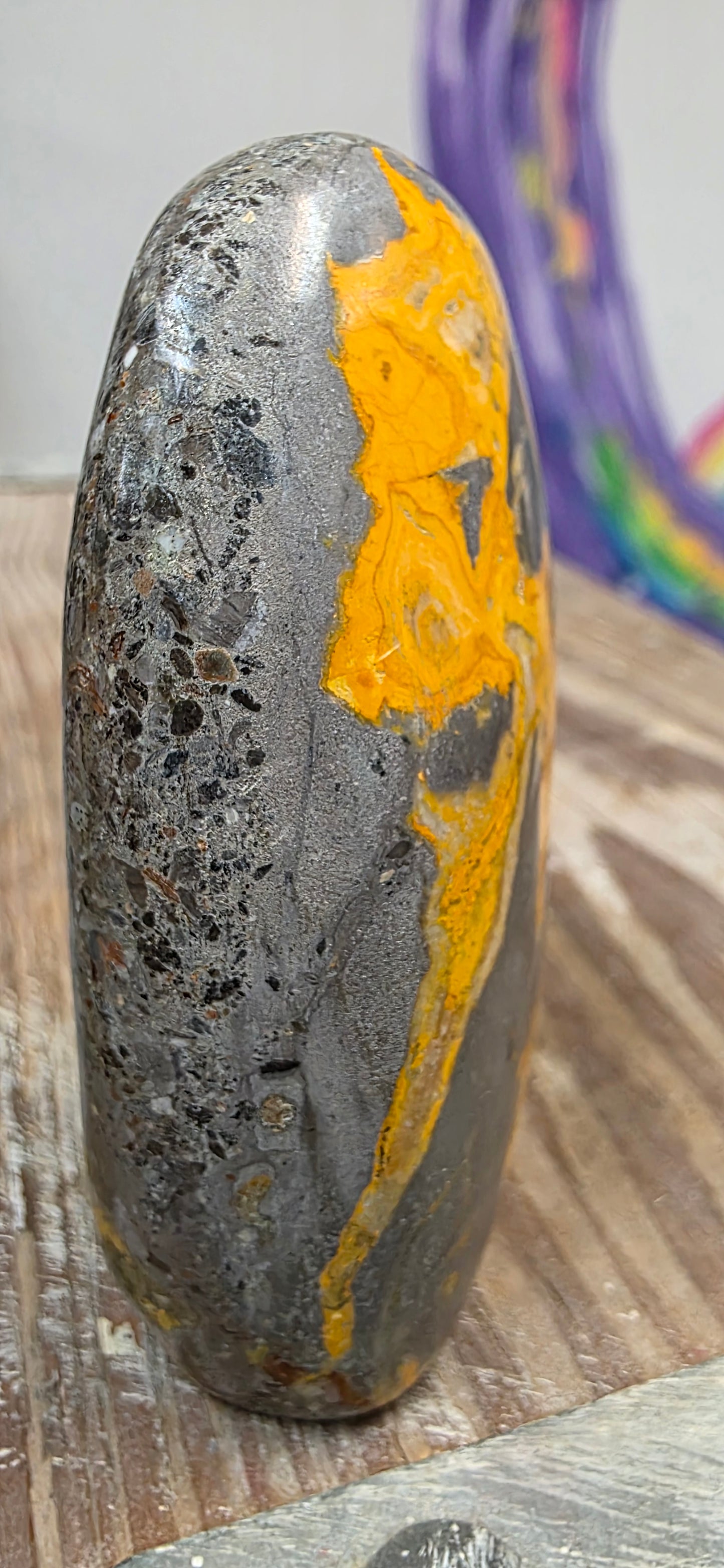 Bumblebee Jasper