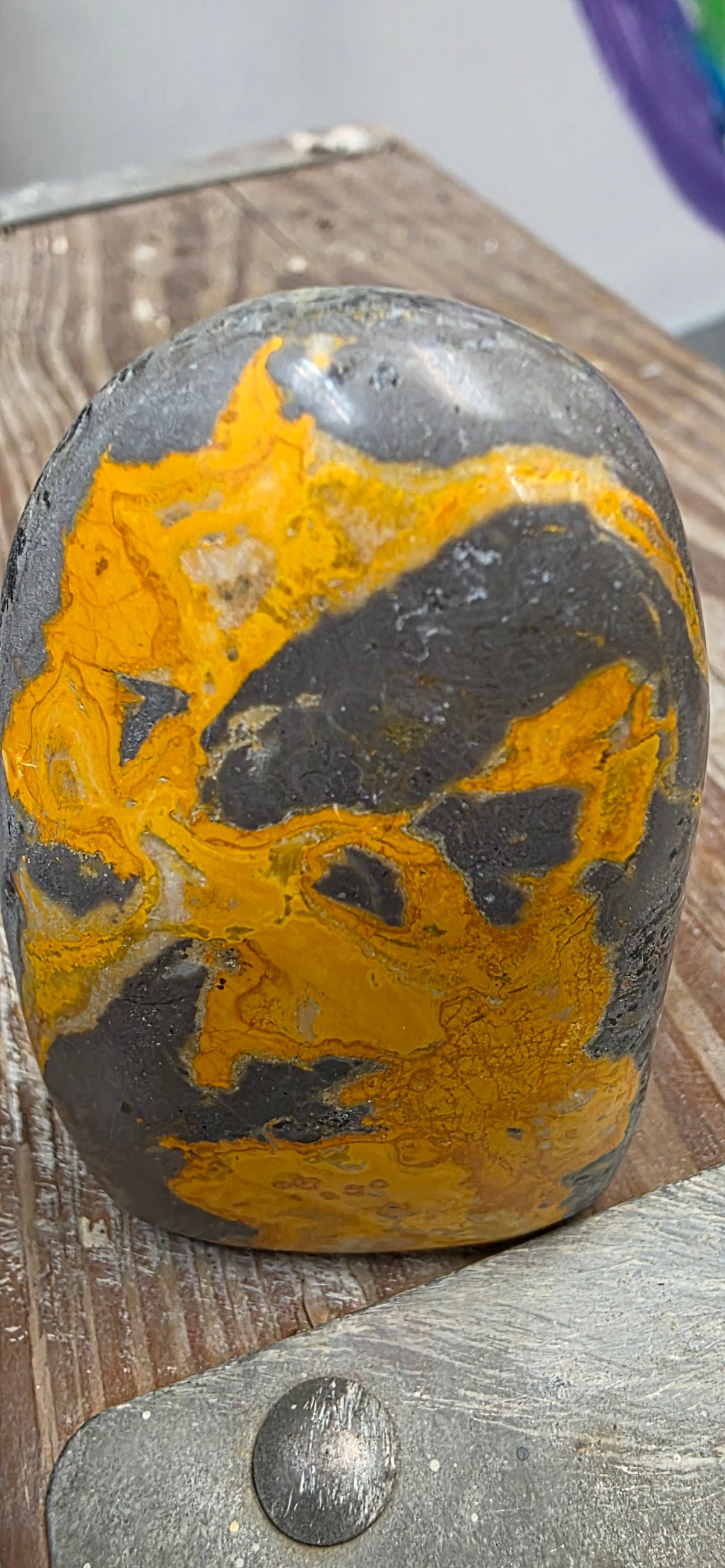 Bumblebee Jasper