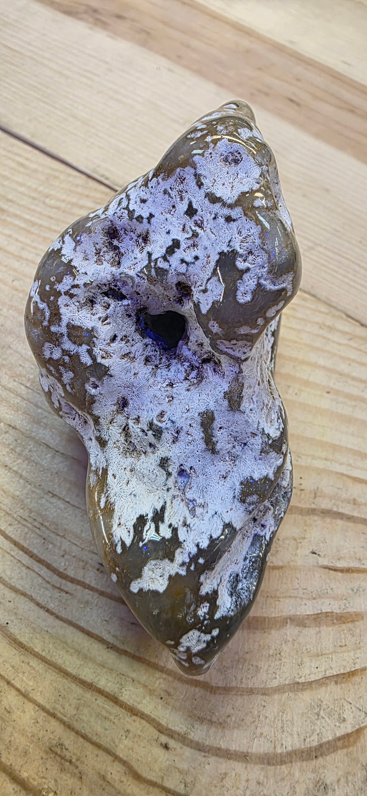 Agate Coral