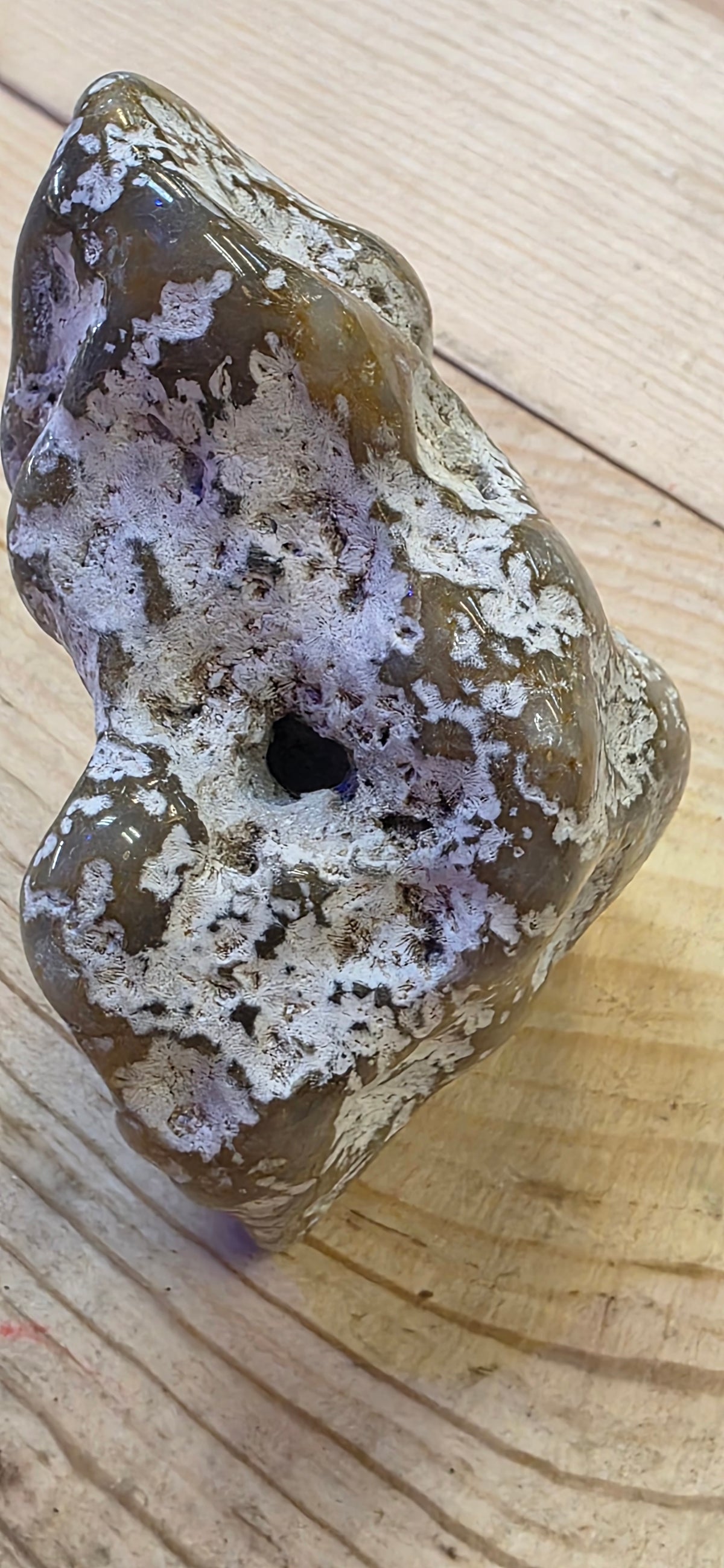 Agate Coral