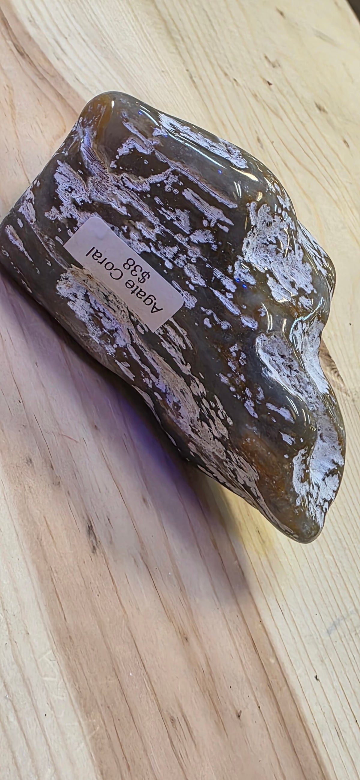 Agate Coral