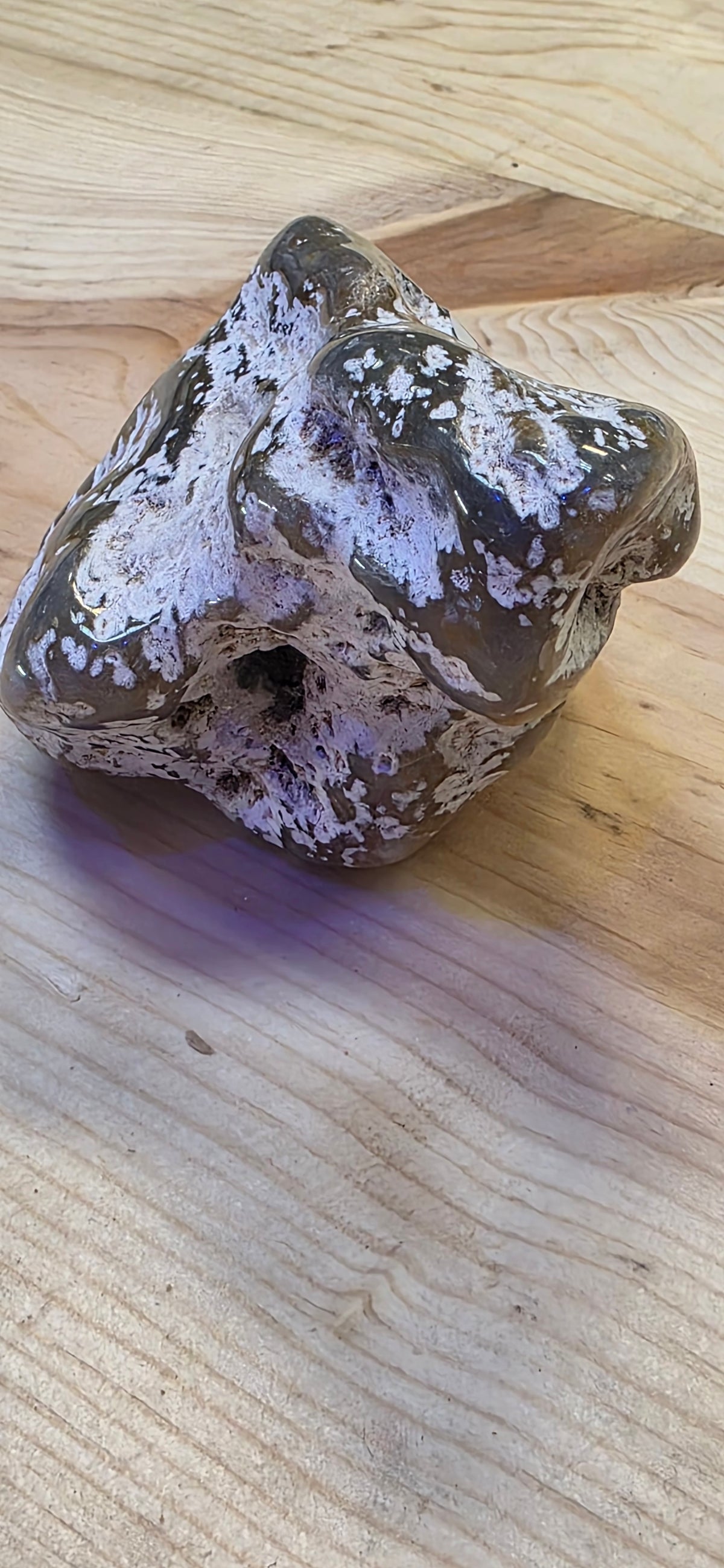 Agate Coral