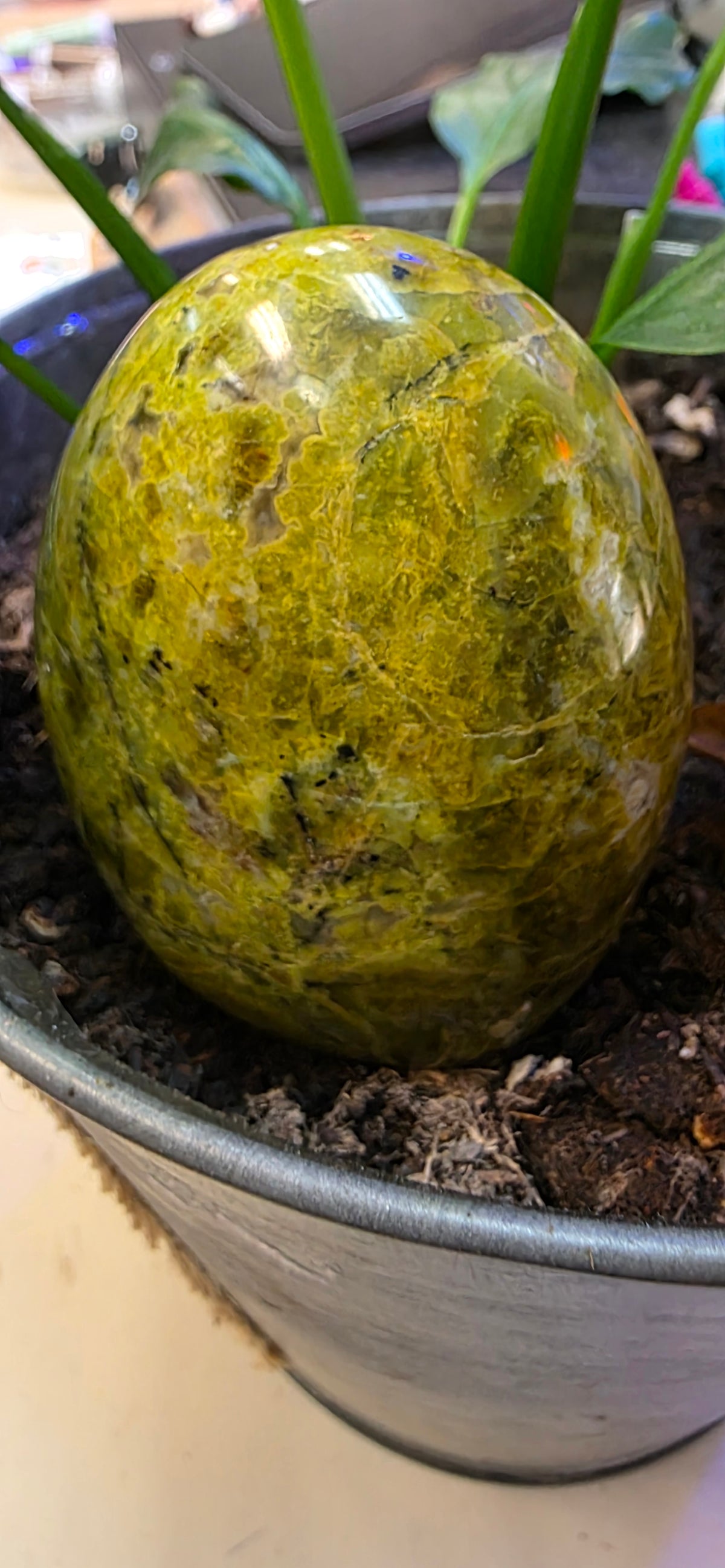 Green Opal