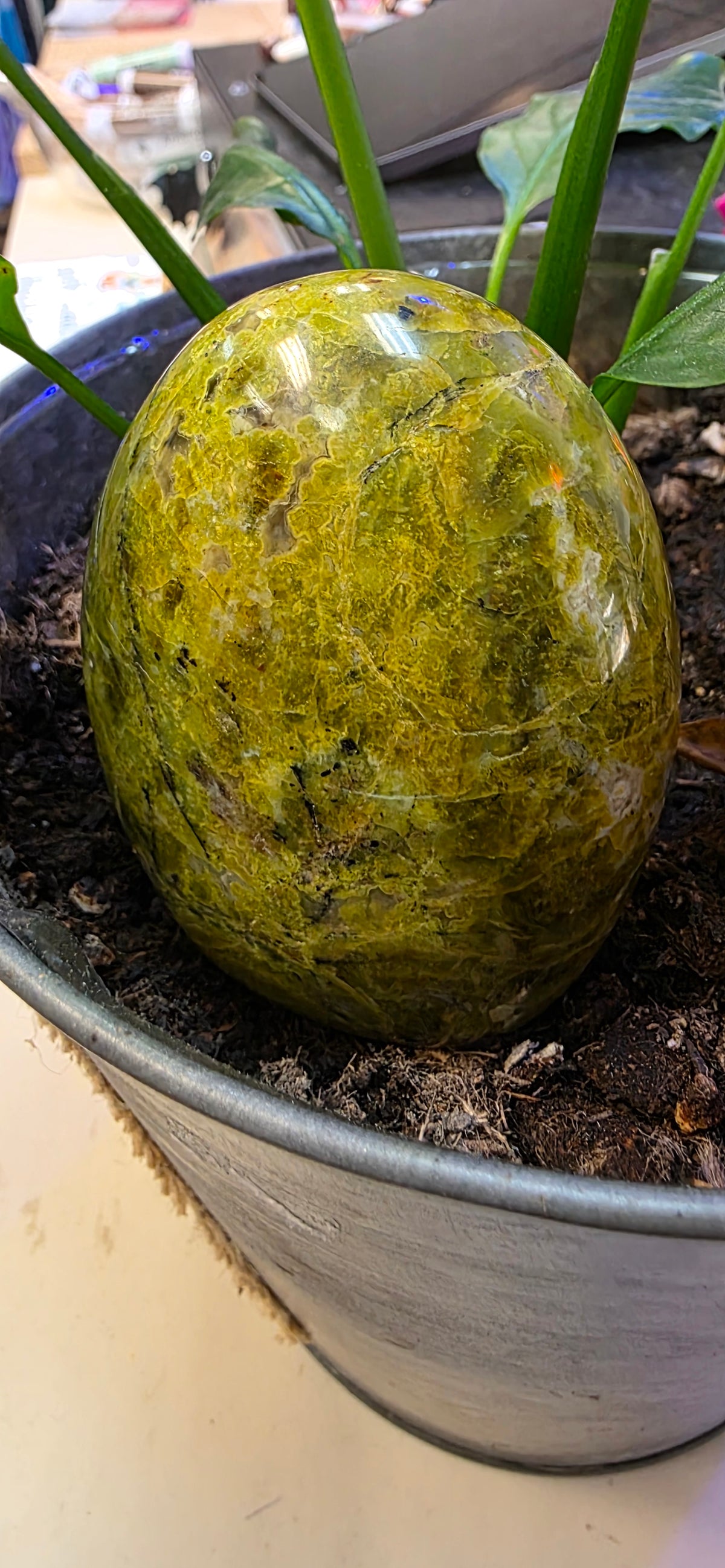 Green Opal