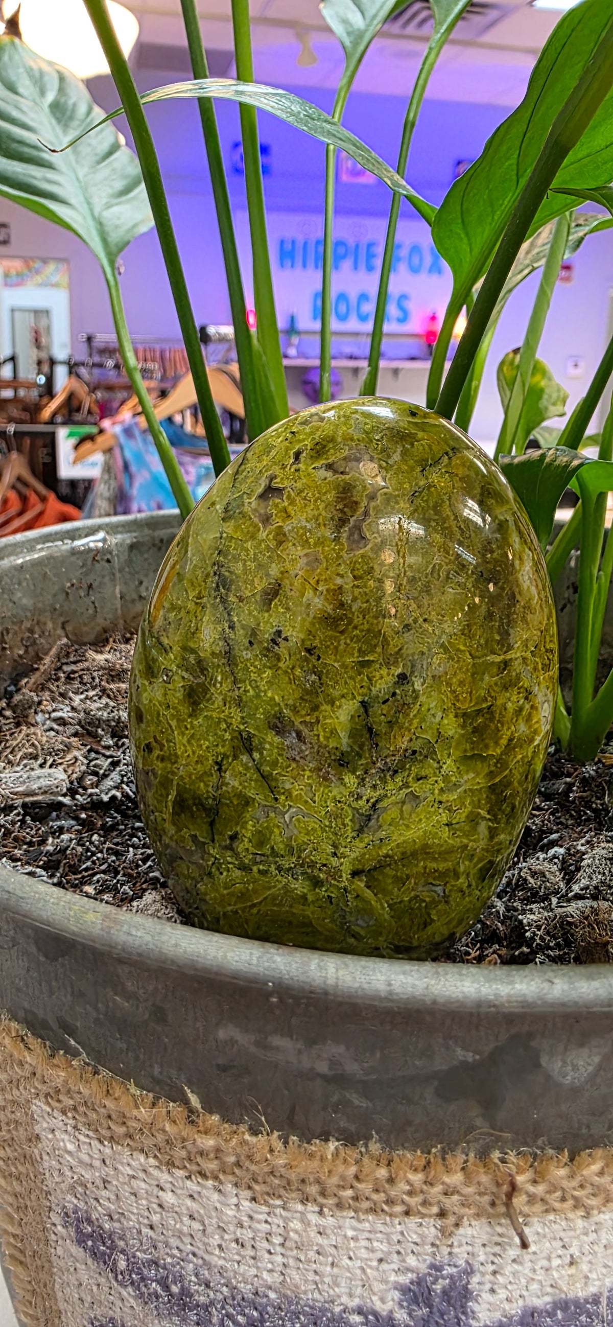 Green Opal
