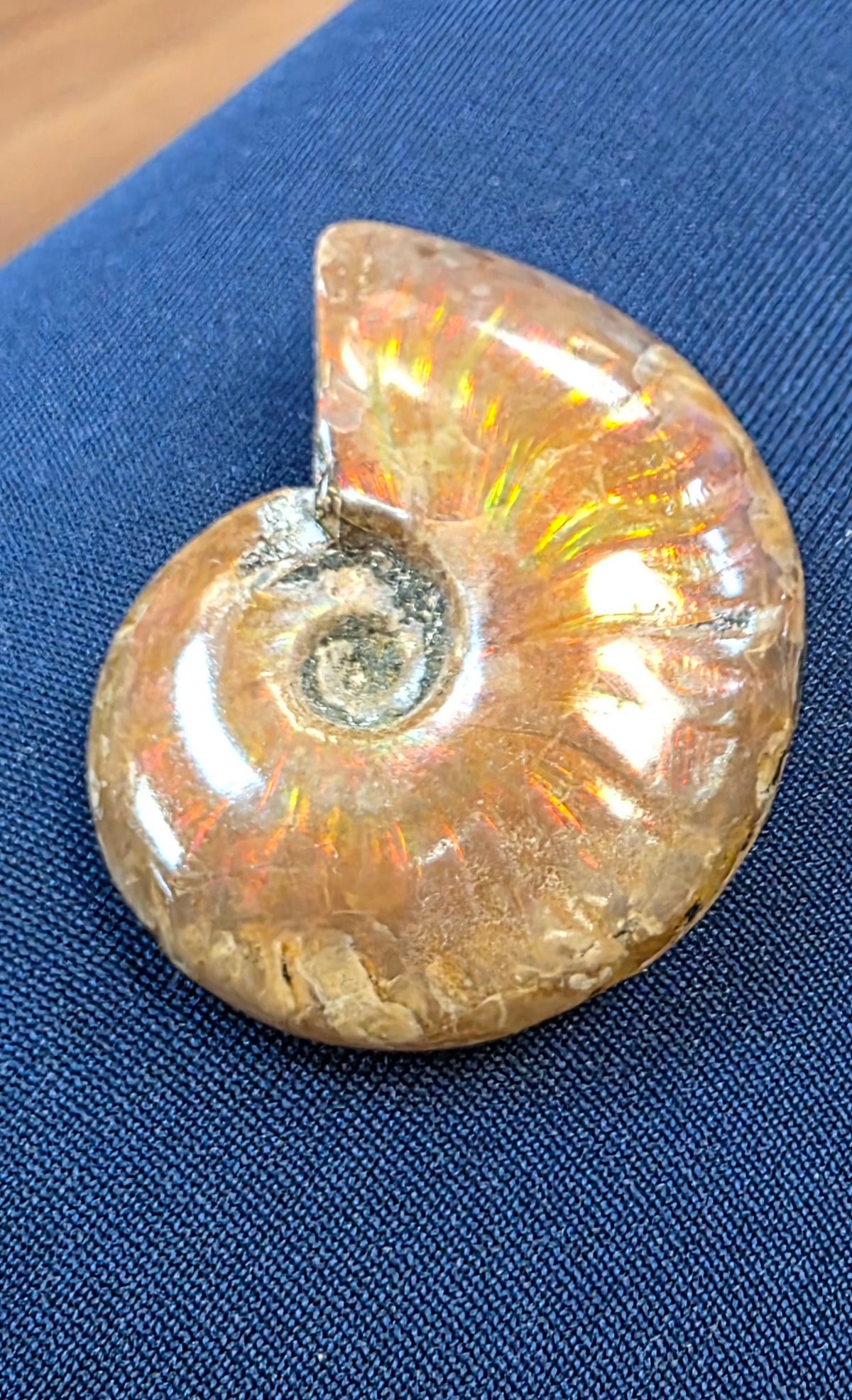 Ammolite