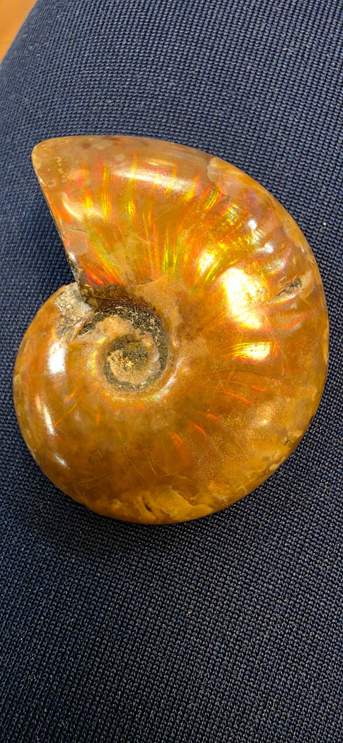Ammolite