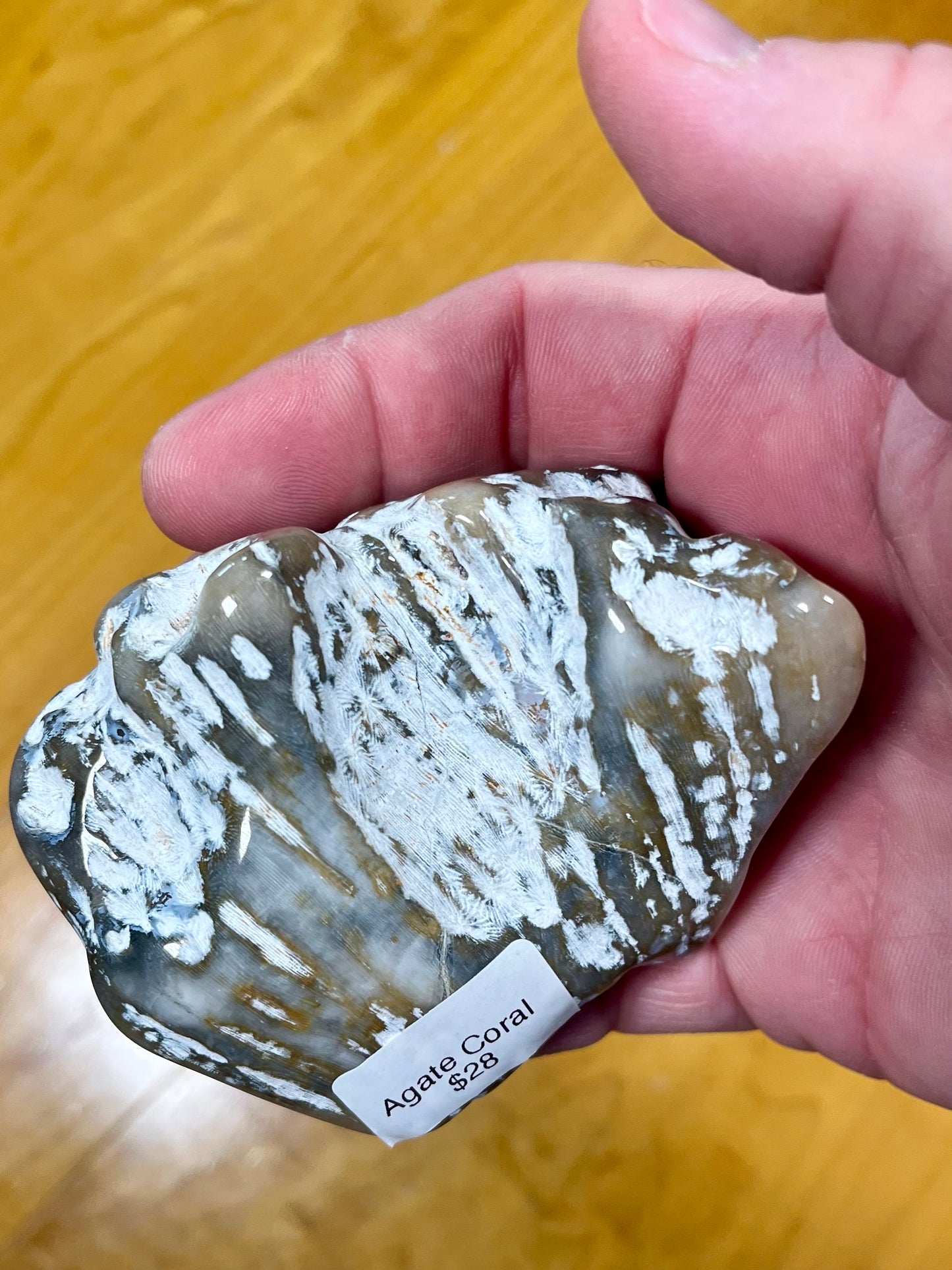 Agate Coral
