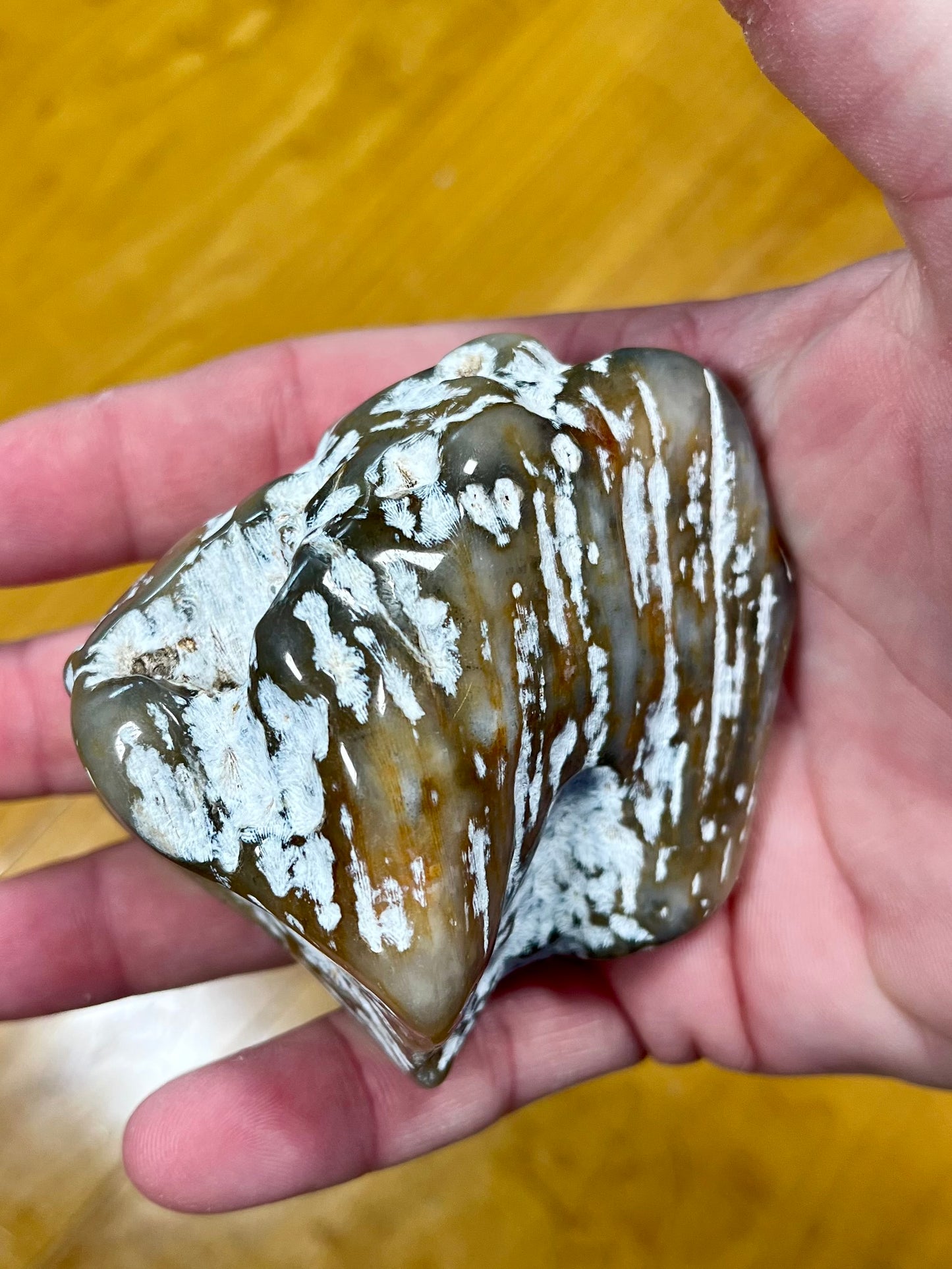 Agate Coral