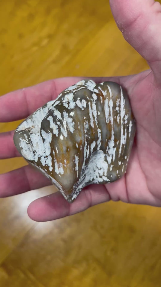 Agate Coral